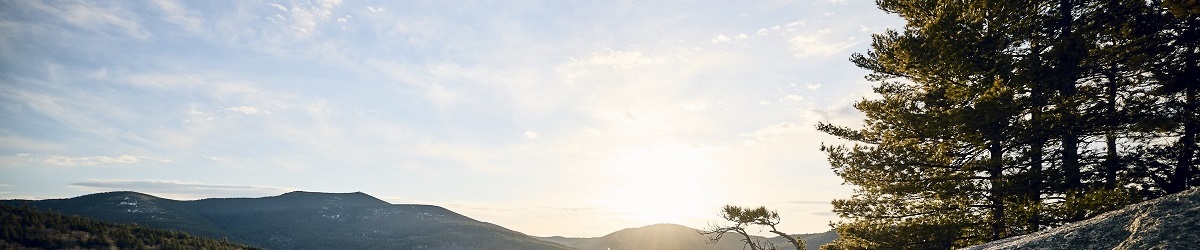 Feature Banner
