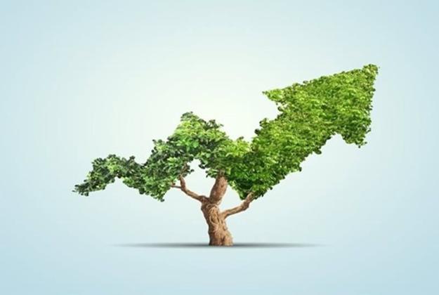 POV: Our investment experts comment on recent Sustainable & Responsible Investing research articles.