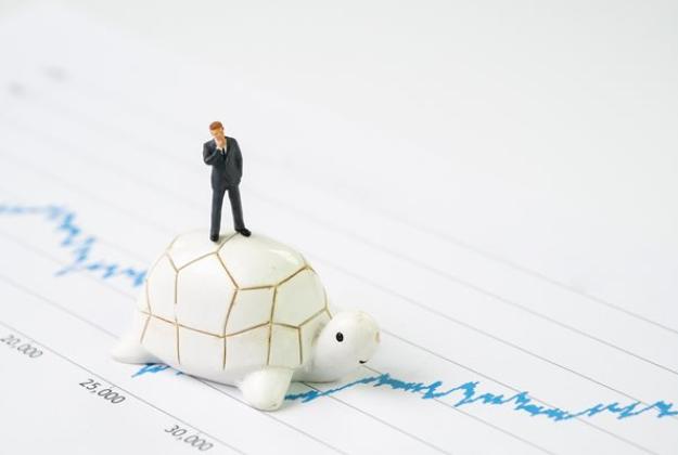 Slow and Steady Wins the Race Consumer Staples Stocks