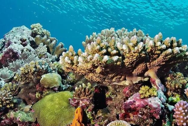 sustainable-investing