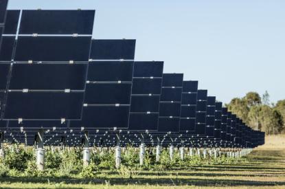 Part 3: Spotlight on Corporate Sustainability Best Practices