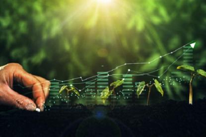 A hand planting a seed, and plants growing overtime